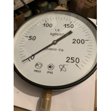 ДМ8010УФ манометр 250кг
